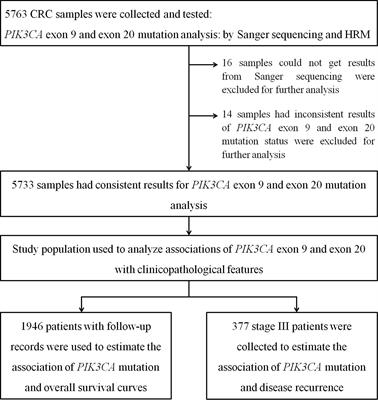 The Spectrum, Tendency and Predictive Value of PIK3CA Mutation in Chinese Colorectal Cancer Patients